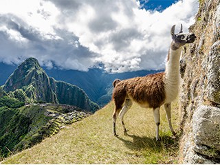 Machu Picchu